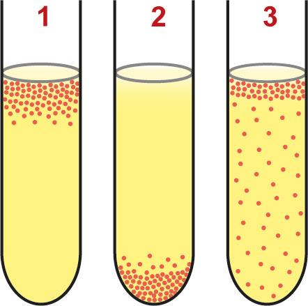 Três tubos de ensaio com células em meio nutritivo. Tubo 1: Concentração de células próximo à superfície do meio nutritivo. Tubo 2: Concentração de células no fundo do tubo. Tubo 3: Concentração de células próximo à superfície do meio nutritivo e células espalhadas por todo o meio nutritivo.