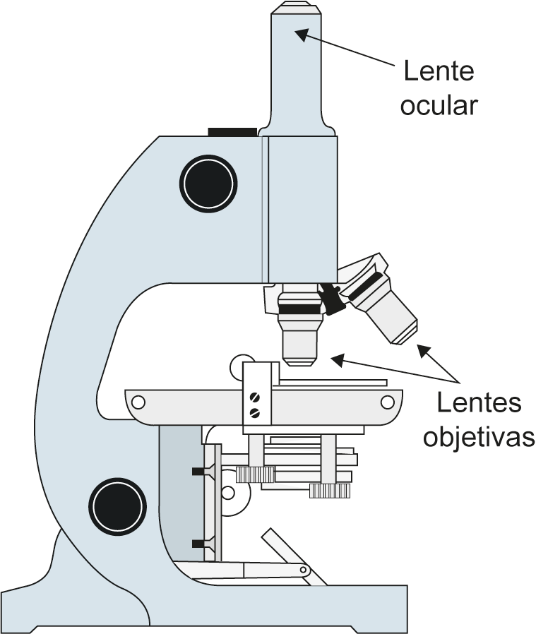 Figura mostra um microscópio que possui uma lente ocular na parte superior do visor e lentes objetivas na parte inferior.
