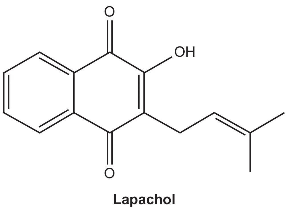 fórmula estrutural do lapachol, identificada pela legenda "Lapachol": um sistema naftoquinônico (anel benzênico fundido a um anel de seis membros) com duas carbonilas C=O nas posições 1 e 4, uma hidroxila OH ligada ao carbono 2 e, no carbono 3, uma cadeia lateral prenila CH₂–CH=C(CH₃)₂