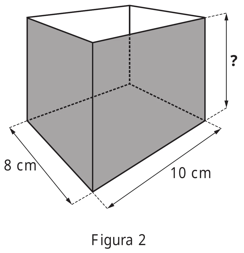 Figura 2: desenho em perspectiva da caixa de vidro, um paralelepípedo aberto no topo, com base interna de 8 cm por 10 cm e a altura indicada por um ponto de interrogação
